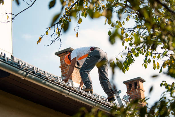 Best Chimney Flashing Repair  in Bethany, WV